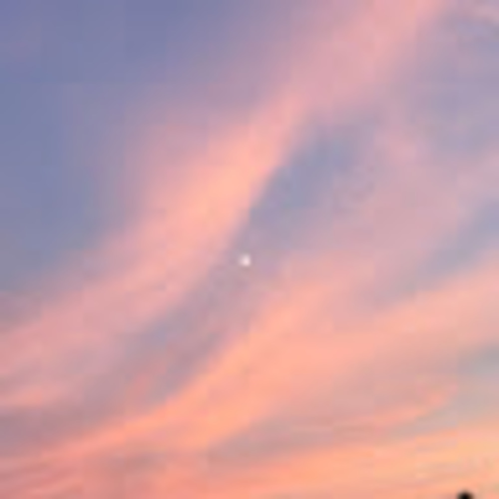 Meet your Posher, Tasleen